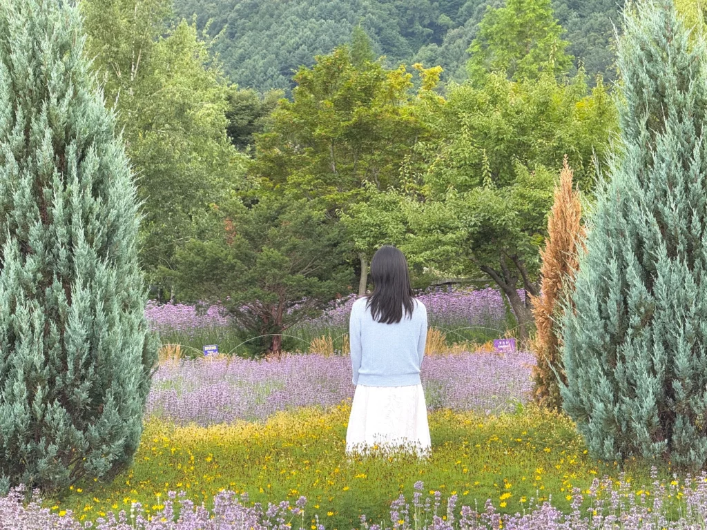 조경수와 꽃들 사이에서 찍은 사진