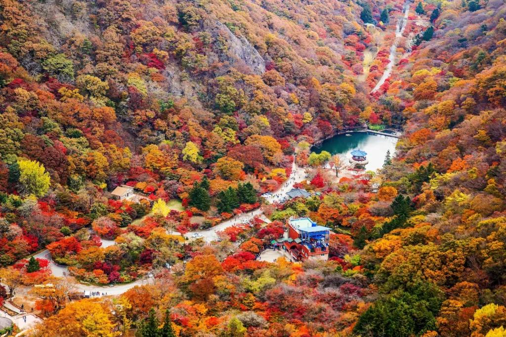 내장산의 단풍 풍경
