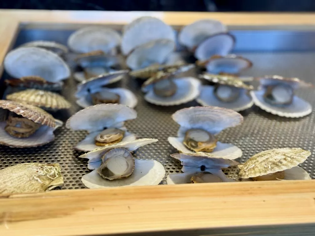 조선 팰리스 호텔 콘스탄스 뷔페 런치 후기 4 조선팰리스 콘스탄스 조개찜