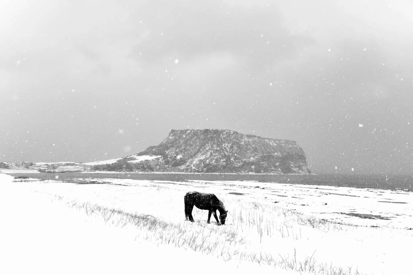 제주도 겨울 여행 코스 추천, 낭만과 여유를 담은 2박 3일 여행 5 제주도 겨울 여행 코스 추천, 낭만과 여유를 담은 2박 3일 여행