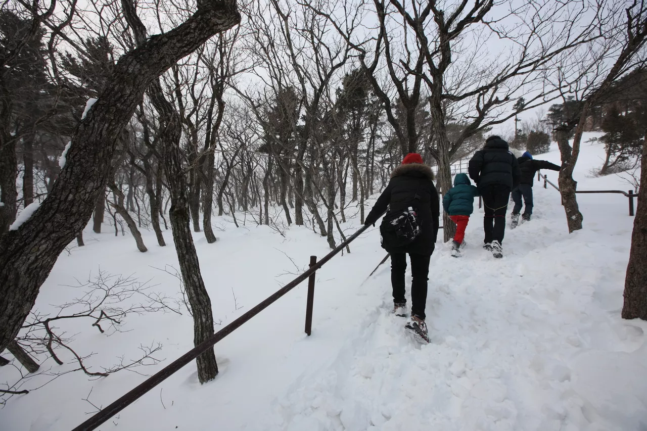 힐링 여행을 위한 강원도 온천 추천 Best 5 2 설악산 겨울 설경