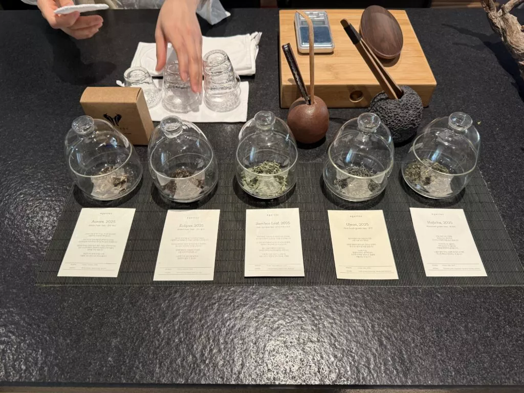 에가톳 라이브러리, 제주도를 여행할 때 꼭 가야 할 서점 추천 5 1D194C0F 4148 402C 8FAB 04683DA794E7 1 201 a