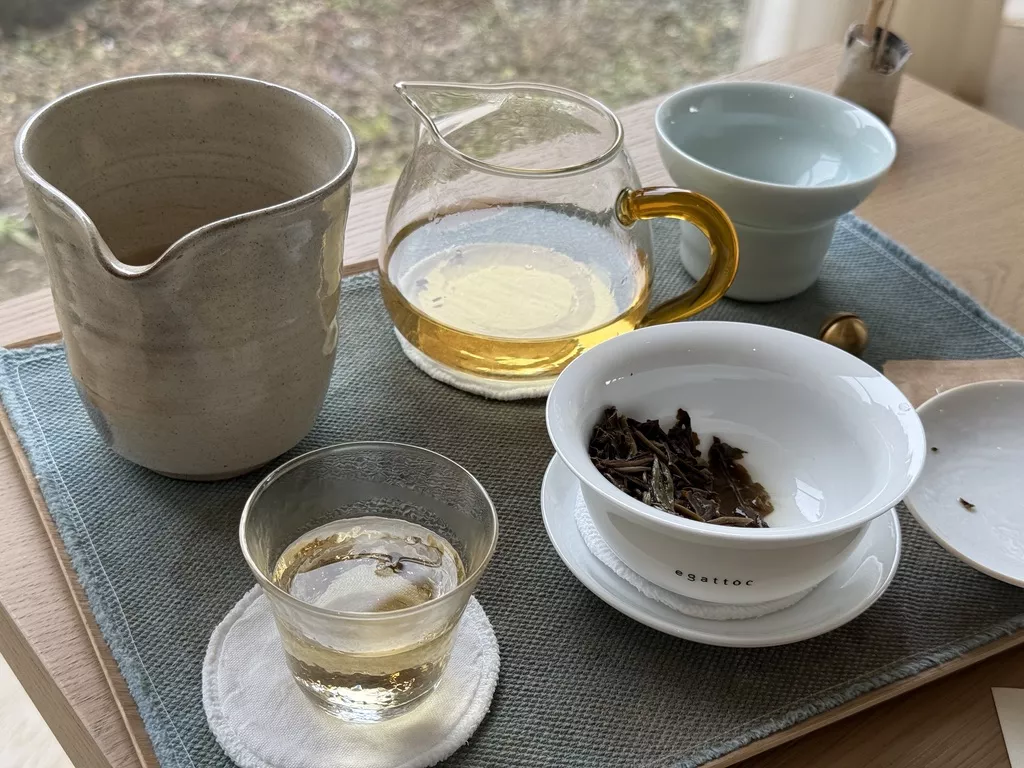 에가톳 라이브러리, 제주도를 여행할 때 꼭 가야 할 서점 추천 7 BCA648E2 8288 4617 AF21 392A7C0AB8A4 1 105 c