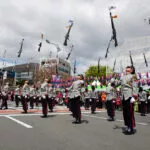 진해군항제 벚꽃